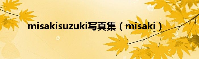 misakisuzuki写真集(misaki)