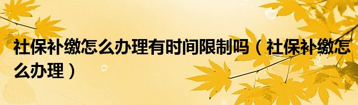 社保补缴怎么办理有时间限制吗(社保补缴怎么办理)