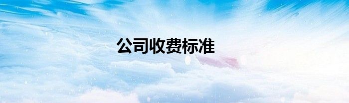 公司收费标准