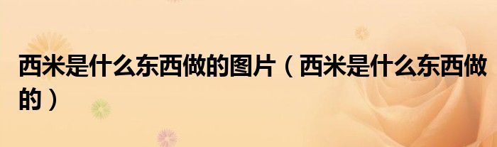 西米是什么东西做的图片(西米是什么东西做的)