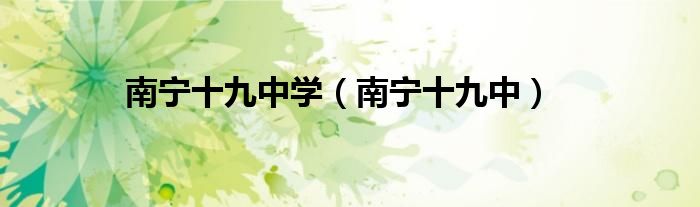 南宁十九中学(南宁十九中)