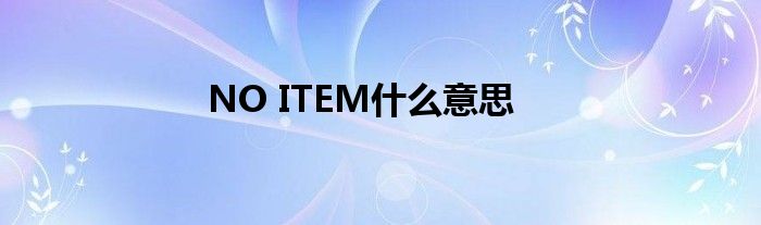 NO ITEM什么意思