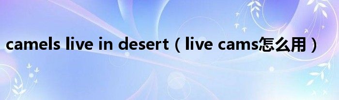 camels live in desert(live cams怎么用)