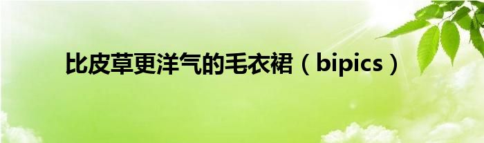 比皮草更洋气的毛衣裙(bipics)