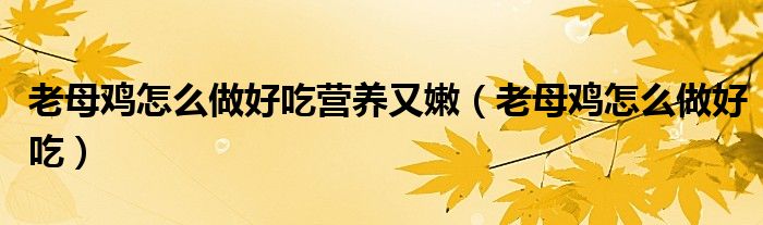 老母鸡怎么做好吃营养又嫩(老母鸡怎么做好吃)