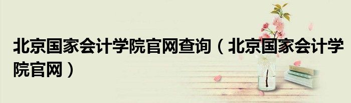 北京国家会计学院官网查询(北京国家会计学院官网)