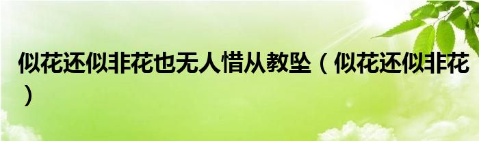 似花还似非花也无人惜从教坠(似花还似非花)