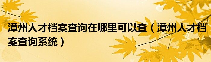 漳州人才档案查询在哪里可以查(漳州人才档案查询系统)