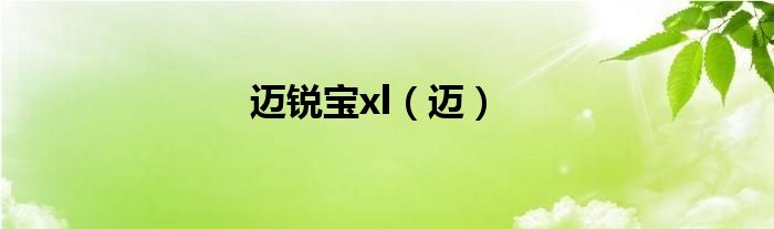 迈锐宝xl(迈)