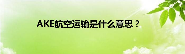 AKE航空运输是什么意思?