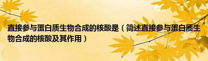 直接参与蛋白质生物合成的核酸是(简述直接参与蛋白质生物合成的核酸及其作用)