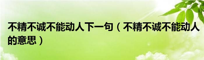 不精不诚不能动人下一句(不精不诚不能动人的意思)