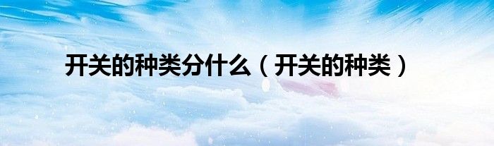 开关的种类分什么(开关的种类)