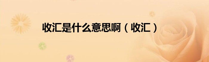 收汇是什么意思啊（收汇）