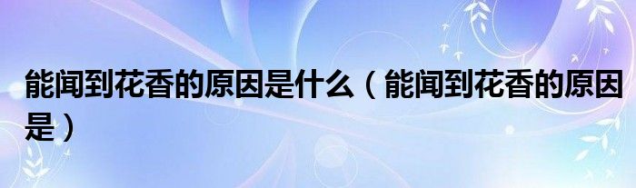 能闻到花香的原因是什么(能闻到花香的原因是)