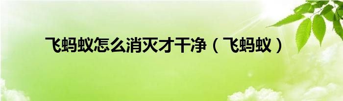 飞蚂蚁怎么消灭才干净(飞蚂蚁)