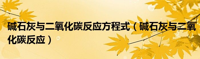 碱石灰与二氧化碳反应方程式(碱石灰与二氧化碳反应)