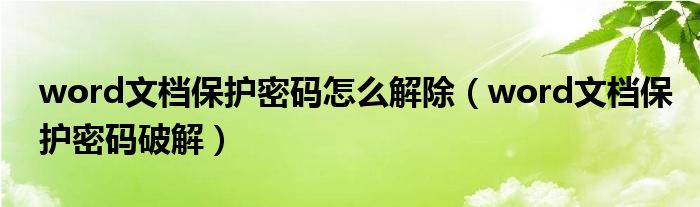 word文档保护密码怎么解除(word文档保护密码破解)