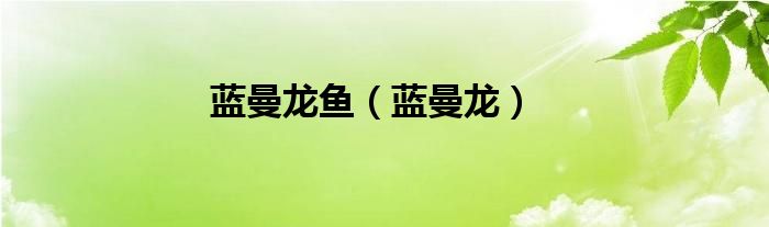 蓝曼龙鱼（蓝曼龙）