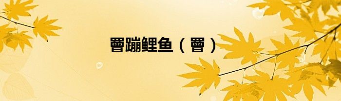 罾蹦鲤鱼（罾）