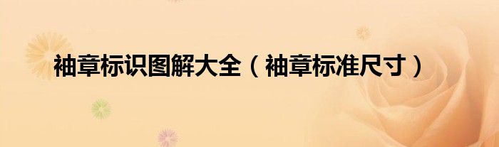 袖章标识图解大全(袖章标准尺寸)