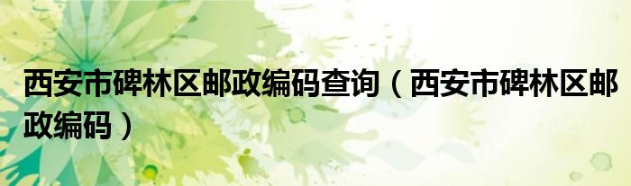 西安市碑林区邮政编码查询(西安市碑林区邮政编码)