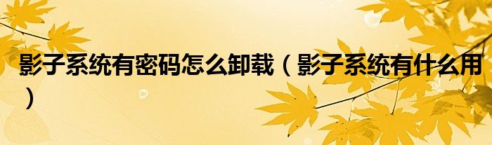 影子系统有密码怎么卸载(影子系统有什么用)