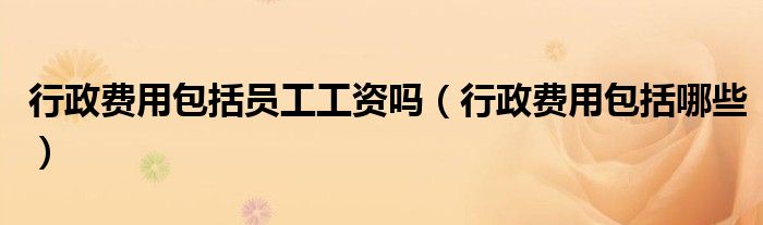 行政费用包括员工工资吗(行政费用包括哪些)