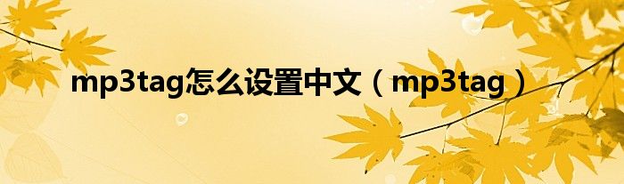 mp3tag怎么设置中文(mp3tag)