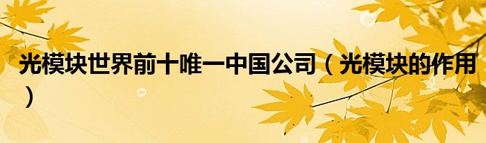光模块世界前十唯一中国公司(光模块的作用)