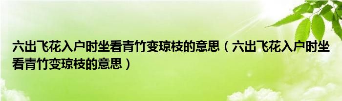 六出飞花入户时坐看青竹变琼枝的意思(六出飞花入户时坐看青竹变琼枝的意思)