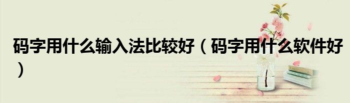 码字用什么输入法比较好(码字用什么软件好)
