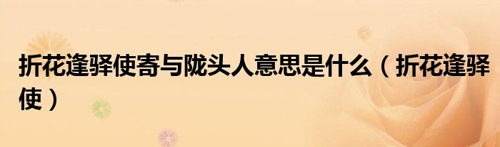 折花逢驿使寄与陇头人意思是什么(折花逢驿使)