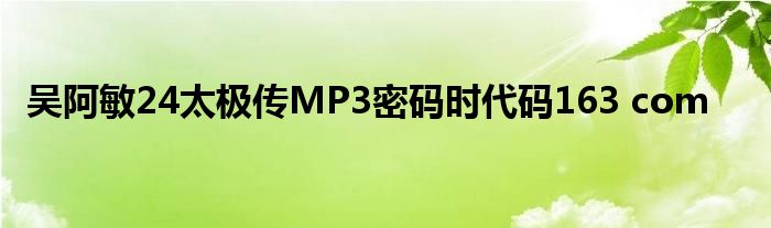 吴阿敏24太极传MP3密码时代码163 com