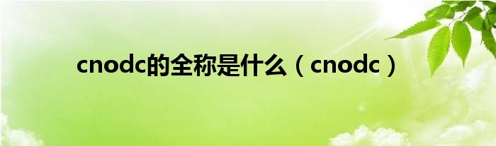 cnodc的全称是什么(cnodc)