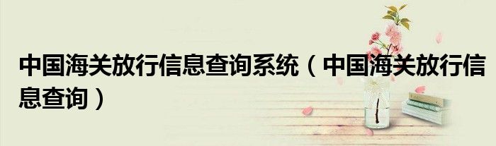 中国海关放行信息查询系统(中国海关放行信息查询)