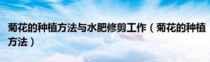 菊花的种植方法与水肥修剪工作(菊花的种植方法)