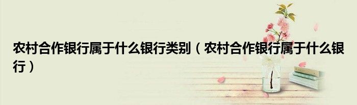 农村合作银行属于什么银行类别(农村合作银行属于什么银行)