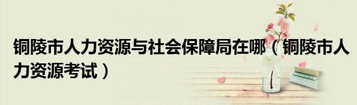 铜陵市人力资源与社会保障局在哪(铜陵市人力资源考试)