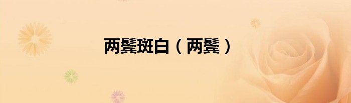 两鬓斑白（两鬓）