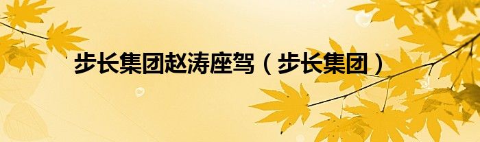 步长集团赵涛座驾(步长集团)