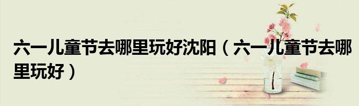 六一儿童节去哪里玩好沈阳(六一儿童节去哪里玩好)
