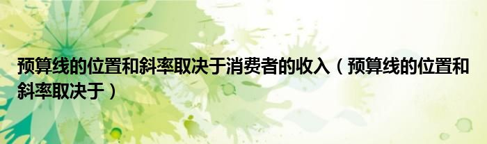 预算线的位置和斜率取决于消费者的收入(预算线的位置和斜率取决于)
