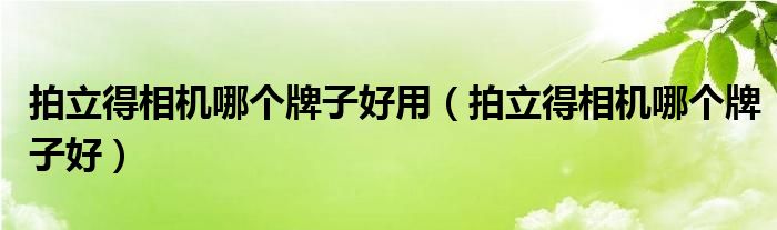 拍立得相机哪个牌子好用(拍立得相机哪个牌子好)