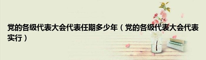 党的各级代表大会代表任期多少年(党的各级代表大会代表实行)