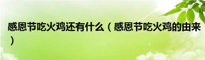 感恩节吃火鸡还有什么(感恩节吃火鸡的由来)