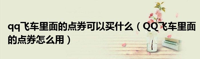 qq飞车里面的点券可以买什么(QQ飞车里面的点券怎么用)
