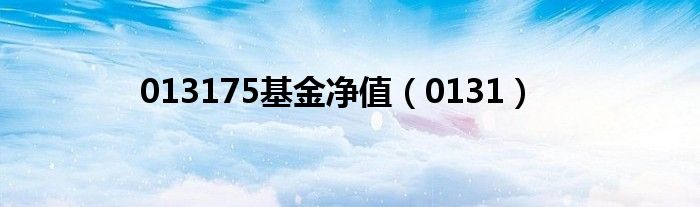 013175基金净值(0131)