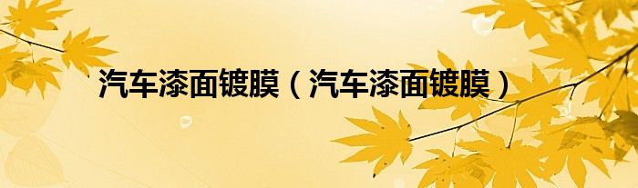 汽车漆面镀膜(汽车漆面镀膜)