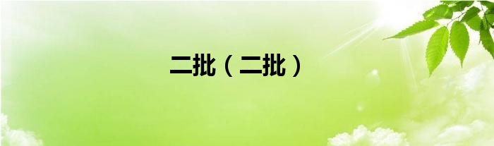 二批（二批）